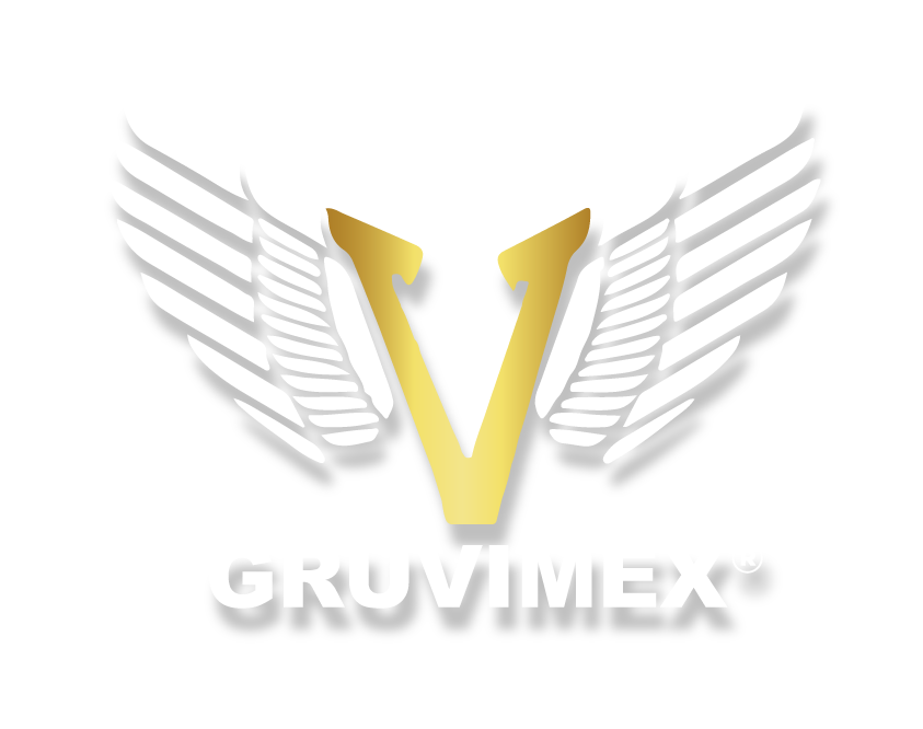 logotipo-gruvimex-terracerias